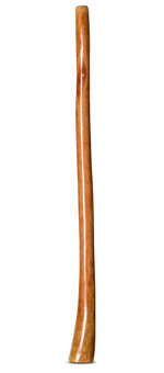 Gloss Finish Flared Didgeridoo (TW843)